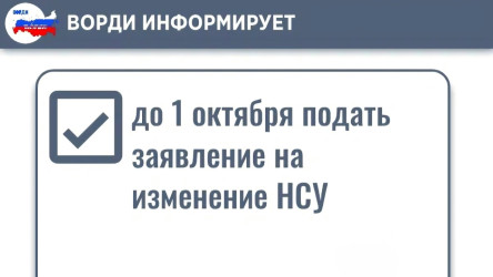НСУ: важный срок до 1 октября