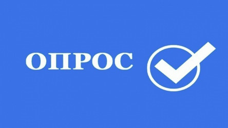 Изучение потребности студентов педагогических специальностей и специалистов, работающих или планирующих работать с детьми с РАС